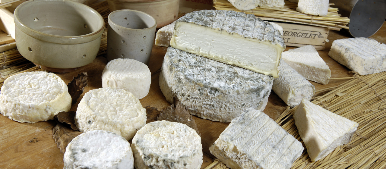 Les fromages du Poitou