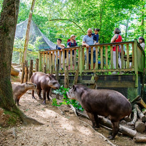 Vacations in Dordogne: Our Low-Carbon Footprint Getaways