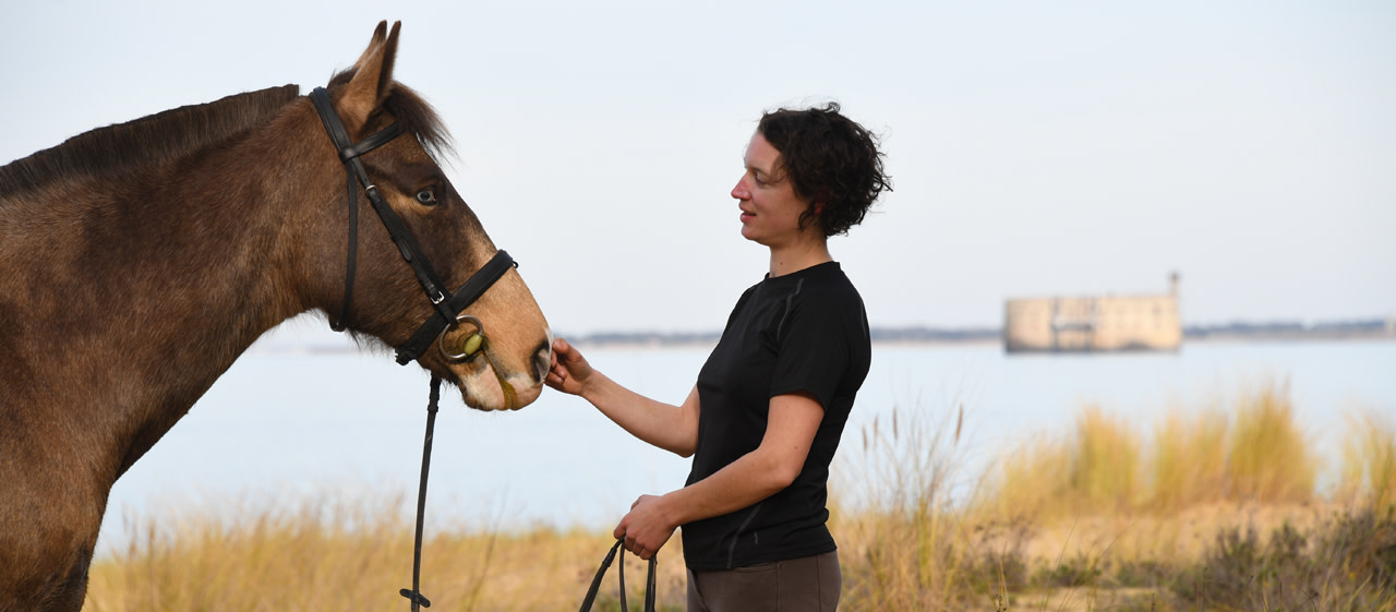 Lacher Les Chevaux