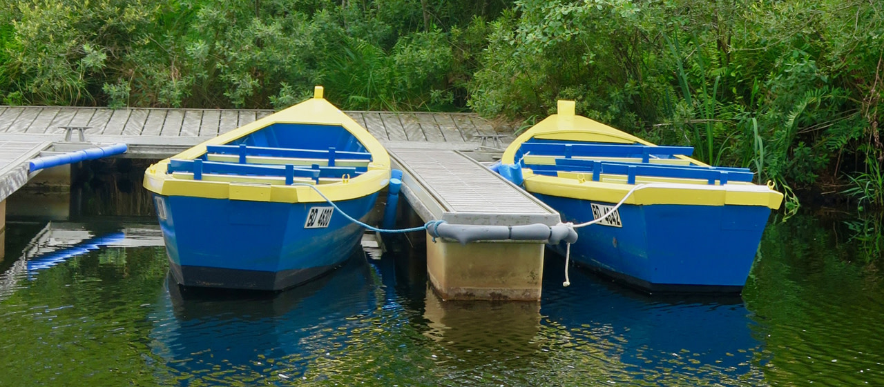 Balade en barque sur le lac de Biscarrosse – Landes 