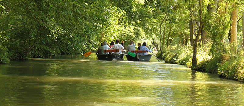 Balade en barque Marais poitevin ©BLB/CRTNA