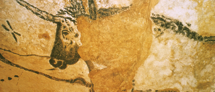 Détail d une peinture rupestre des Grottes de Lascaux