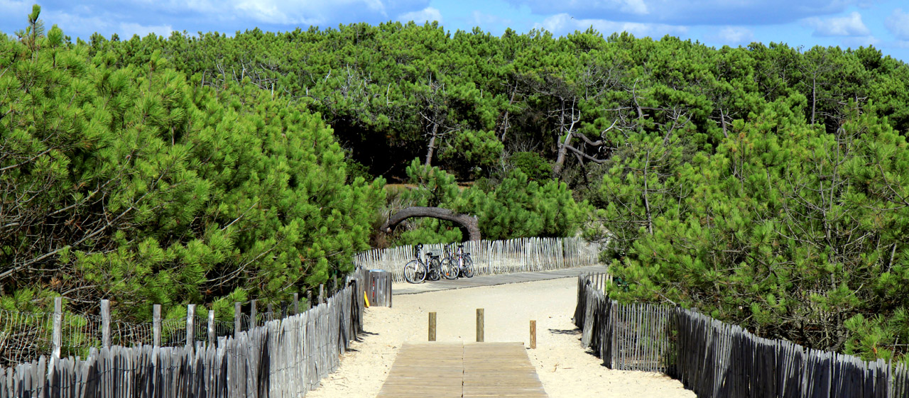 Accès a la plage avec les caillebotis