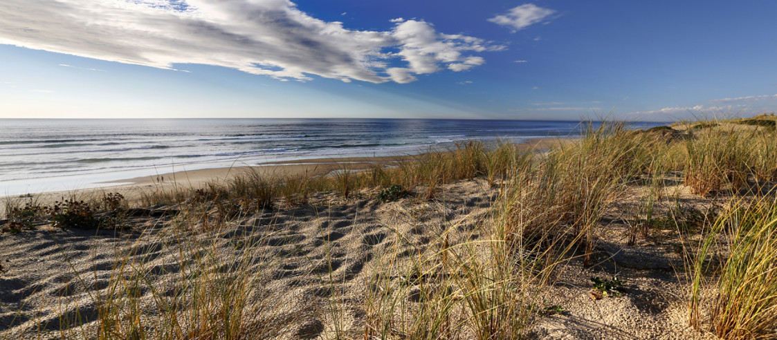 plage océane, biscarrosse, France