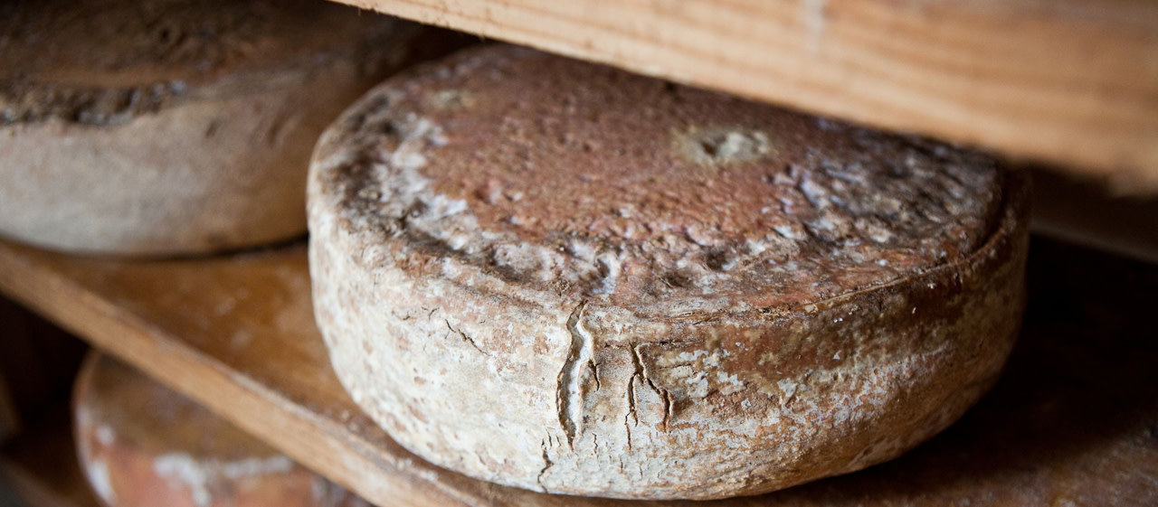 Cheese Trails In Nouvelle Aquitaine