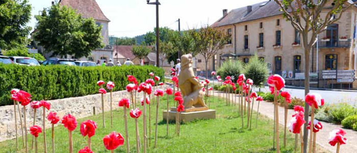Saint-Cyprien (Dordogne) (43)-800