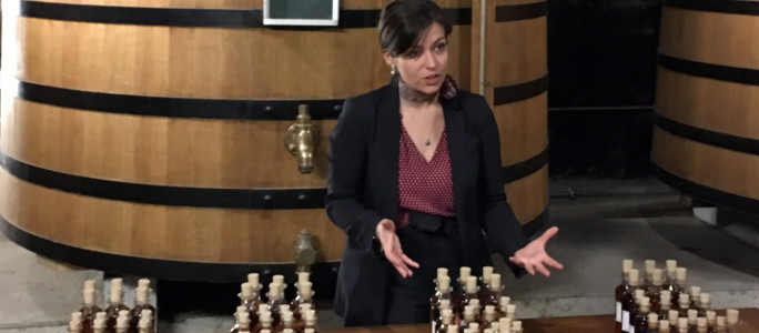 Dégustation et visite de la Maison de cognacs Hennessy a Cognac