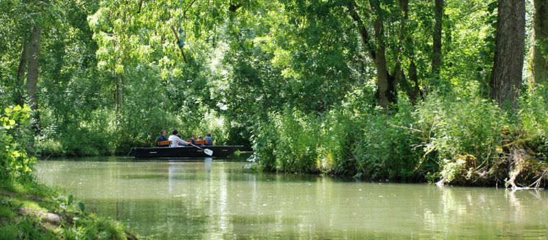 Ou Embarquer Dans Le Marais Poitevin