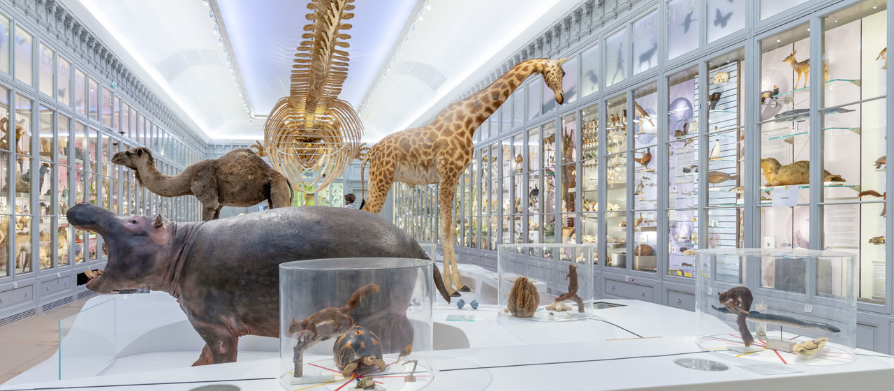 Visit Nouvelle Aquitaine Regional Tourism Board