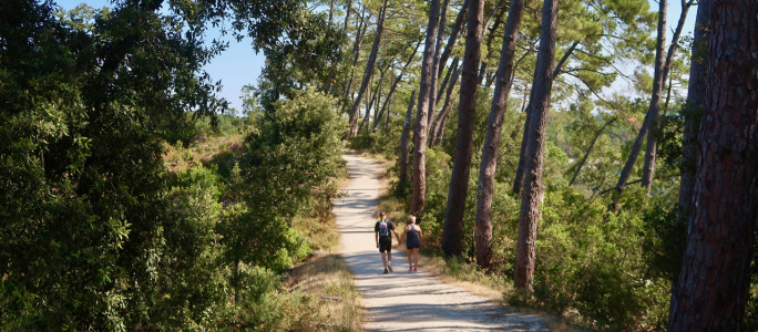 Sentier du lac