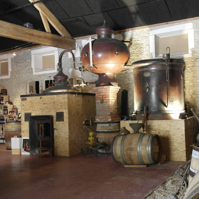 Visite guidée à la Galerie de l'Alambic à Fouras