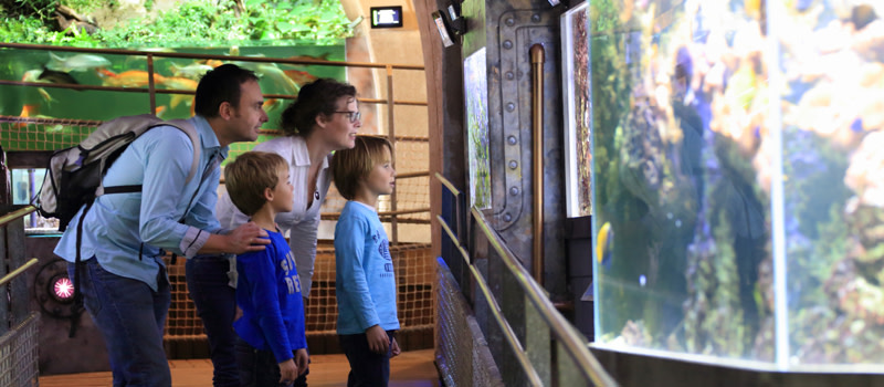 Aquarium de Limoges en famille