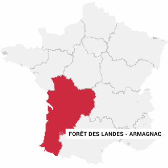 Forêt des Landes - Armagnac - Carte