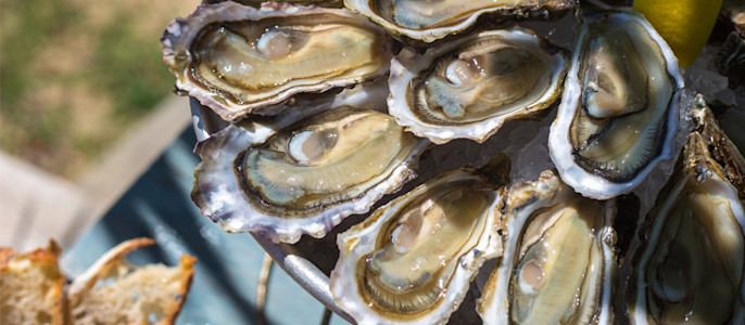 Dégustation d'huitres sur le Bassin d'Arcachon _ Cabane 171