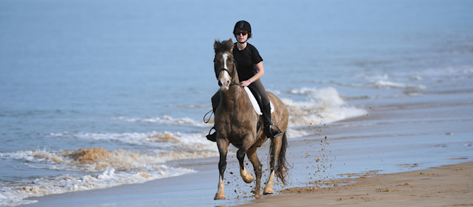 Horse riding on the beach