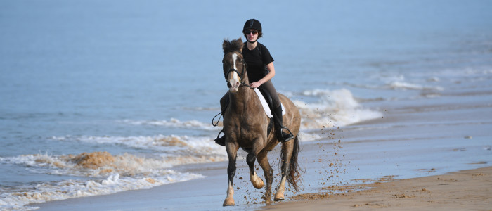 Horse riding on the beach