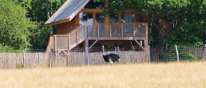 Plaine africaine et lodge (Reynou)