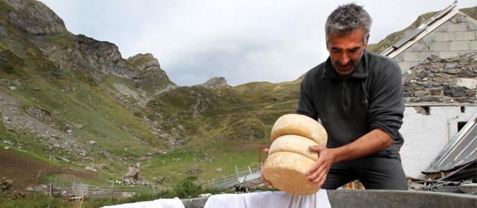 Ossau Iraty - Berger à Bious