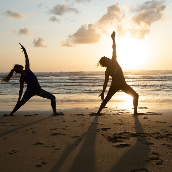 Vacances dans les Landes : nos séjours bas-carbone