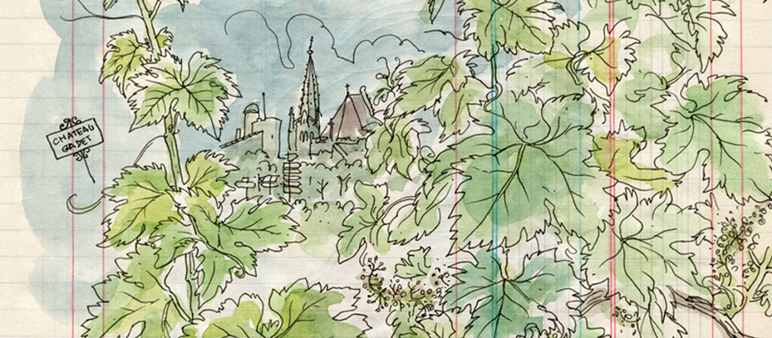 Saint-Émilion, playground for the illustrator, Lapin. Drawings offer a view