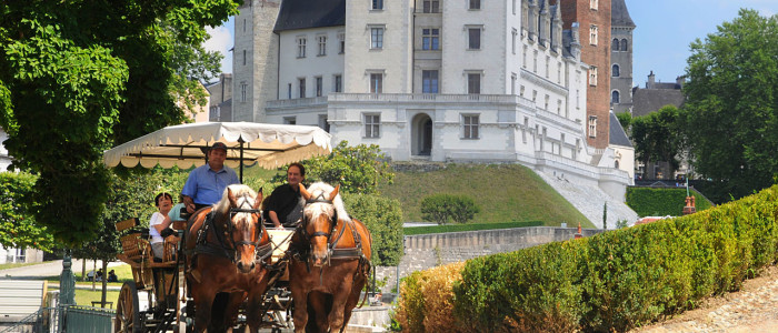 Promenade en calèche dans le parc du chateau de Pau