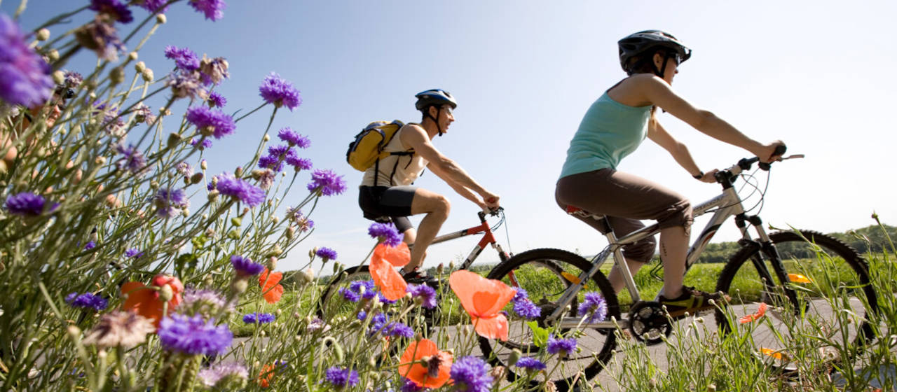 Flowvélo : découvrez les beautés cachées de la Nouvelle-Aquitaine à vélo