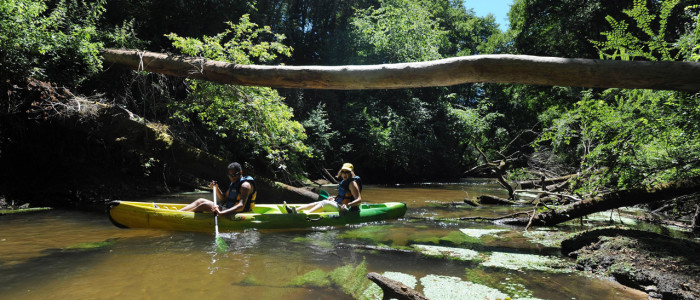Canoeing in the heart of the Landes