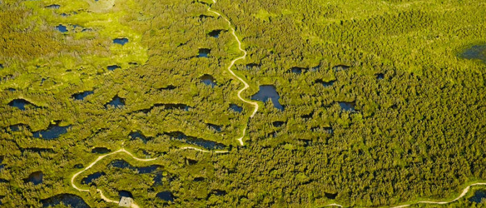 Réserve Naturelle du Pinail