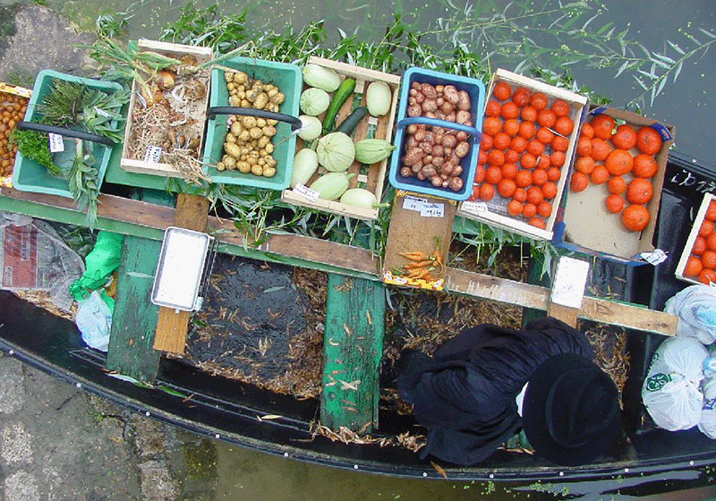 PNR Marais poitevin, marché sur l'eau