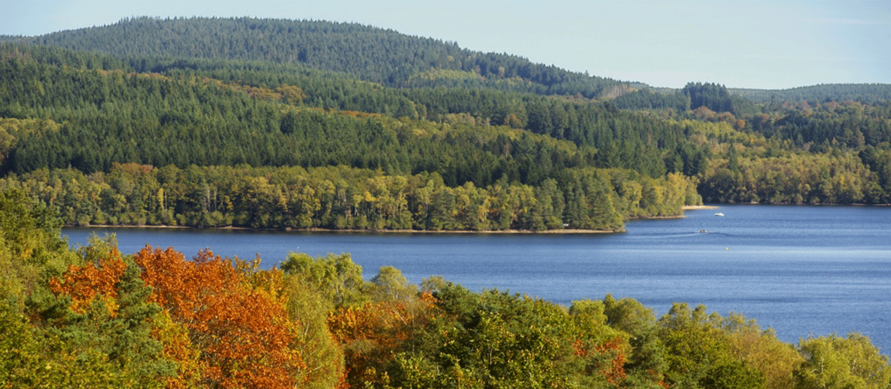 Vassivière à l'automne