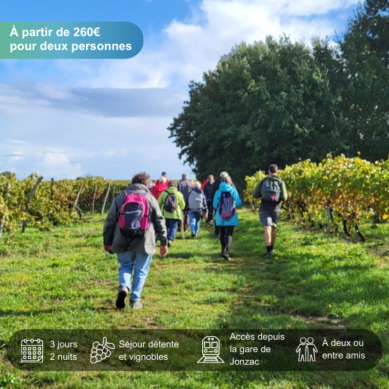 Escapade viticole en Nouvelle-Aquitaine : à la rencontre des châteaux et vignobles