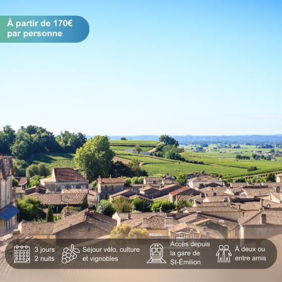 Escapade viticole en Nouvelle-Aquitaine : à la rencontre des châteaux et vignobles