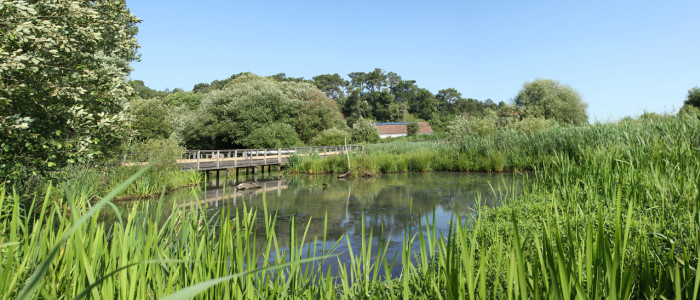 Panorama marais d'orx