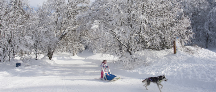 La Pierre Saint-Martin baby mushing