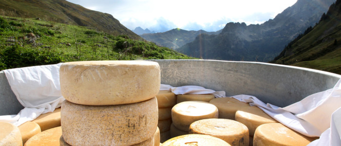 Fromages Estive Bious