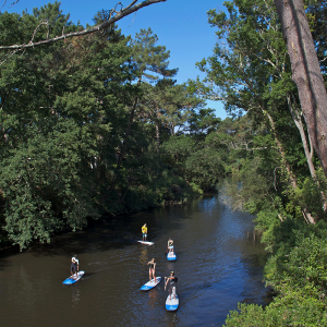 Pratique du paddle à Contis dans les Landes