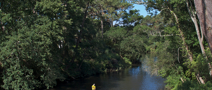 Pratique du paddle à Contis dans les Landes