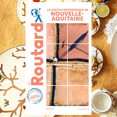 couv-routard-savoir-faire NA 400