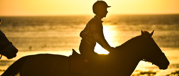 Balade équestre sur la plage avec le coucher de soleil