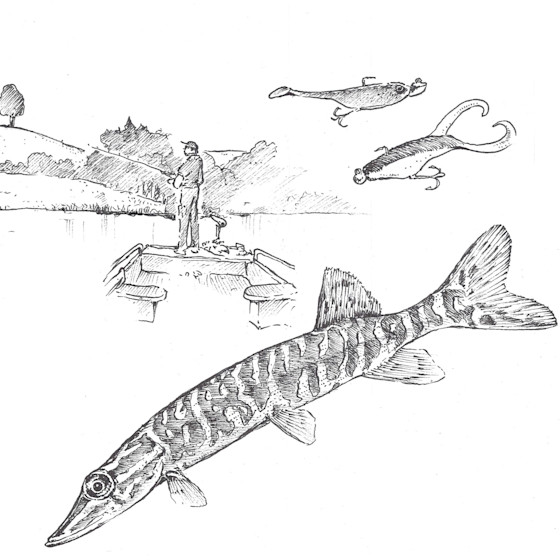 Voyage à Vassivière