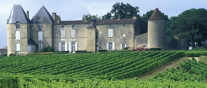 Chateau Yquem Sauternes. Vignoble de Bordeaux Gironde (33)