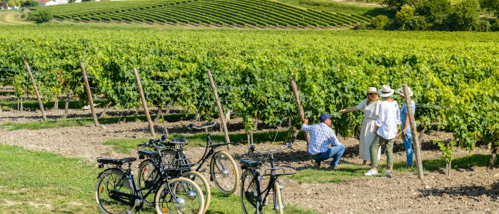 Experiencias en el viñedo de Cognac
