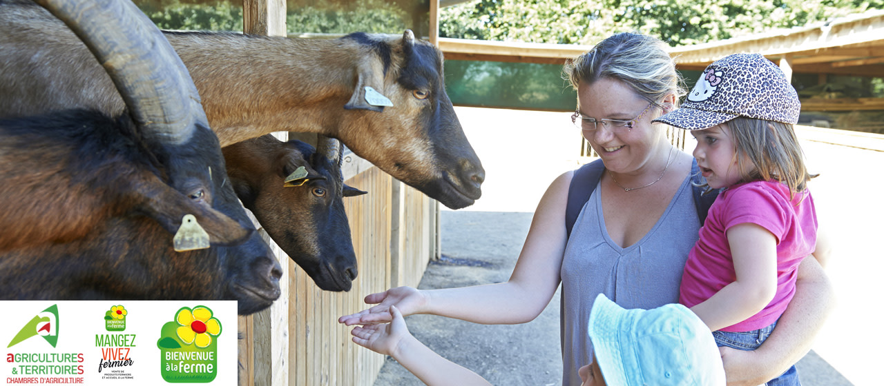 Visite chèvrerie en famille Bienvenue à la Ferme