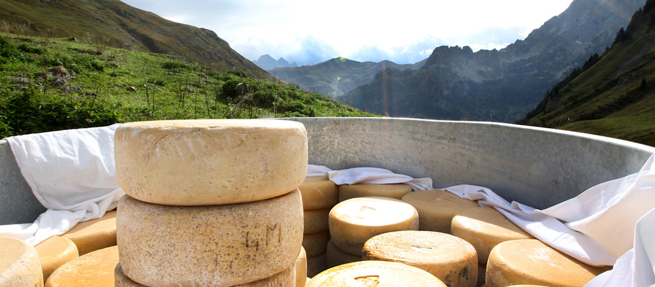  fromage brebis , ossau iraty, pyrenees