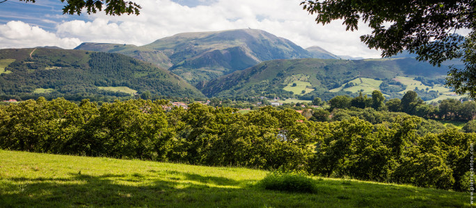 Colline de la Bergerie