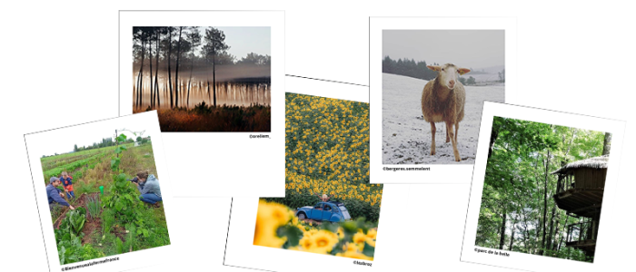 Mosaïque de paysages de campagne en Nouvelle-Aquitaine