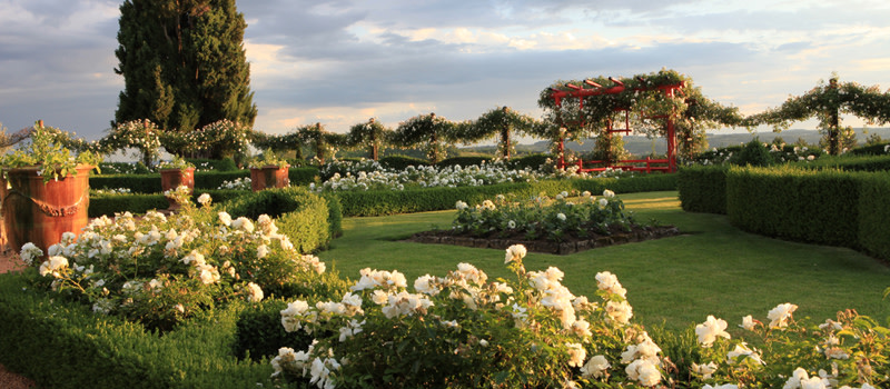 Jardin d'Eyrignac - jardin blanc