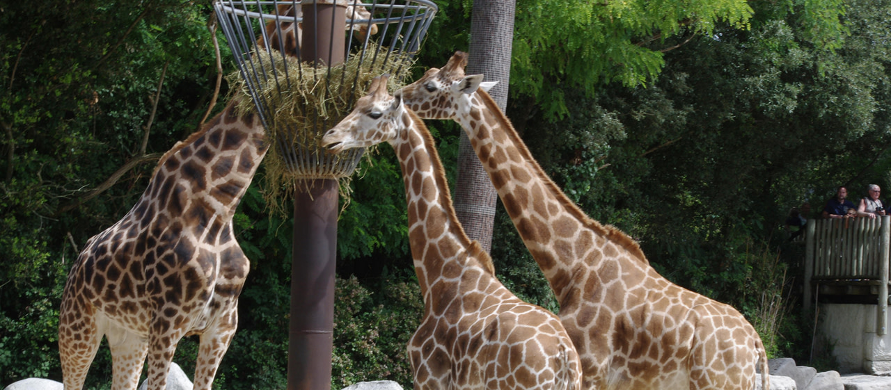 Nouvelle Aquitaine Wildlife Parks