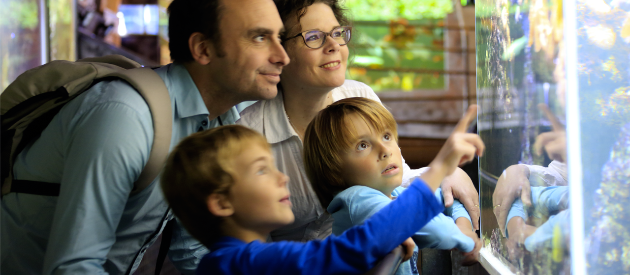 Jour De Pluie Notre Carnet D Adresses Anti Grise Mine