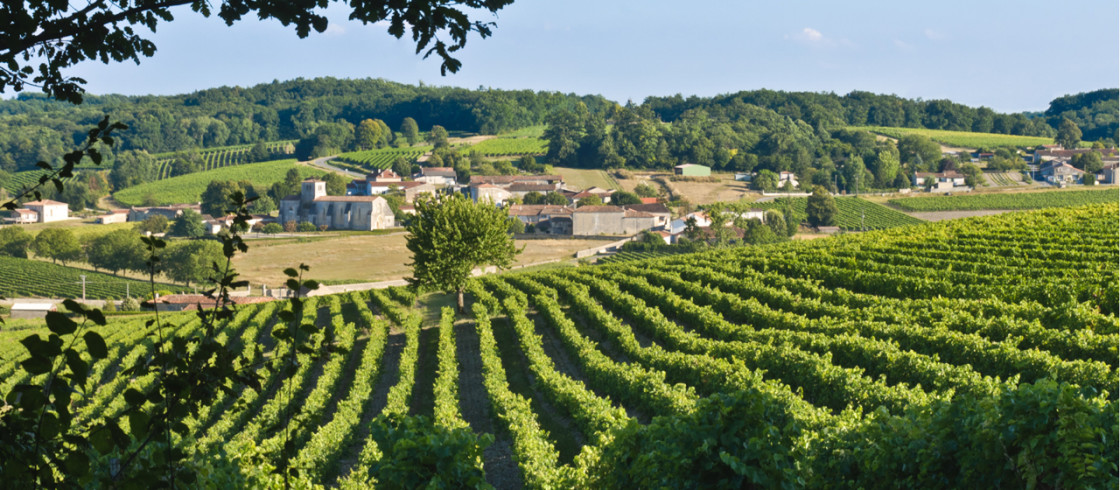 Paysage du Cognac